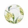 Villeroy & Boch Frühstücksteller 22,0 Cm Amazonia Anmut 10