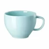 Rosenthal Kombi-Obertasse 0,28 L Junto Opal Green 8