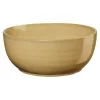 ASA Schale 18 Cm Poké Bowl Ginger 5